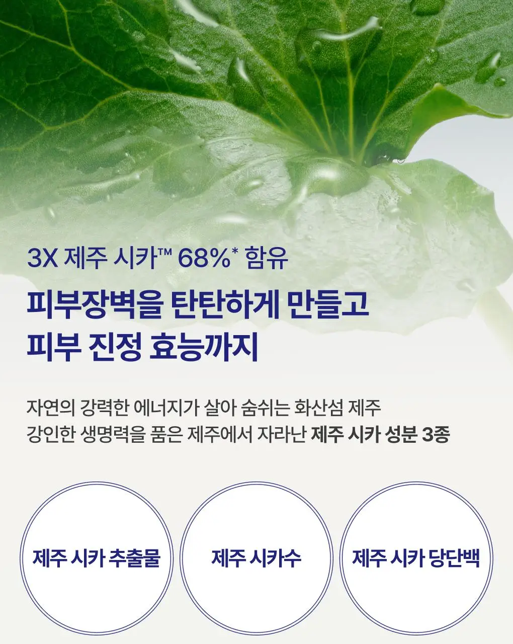 [UPGRADE] 이니스프리 레티놀 시카 모공 흔적 크림 50ml 기획(+30ml) 상세페이지 15